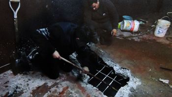 secuestraron 8 kilos de cocaina ocultos en un salon de fiesta secuestraron 8 kilos de cocaina ocultos en un salon de fiesta