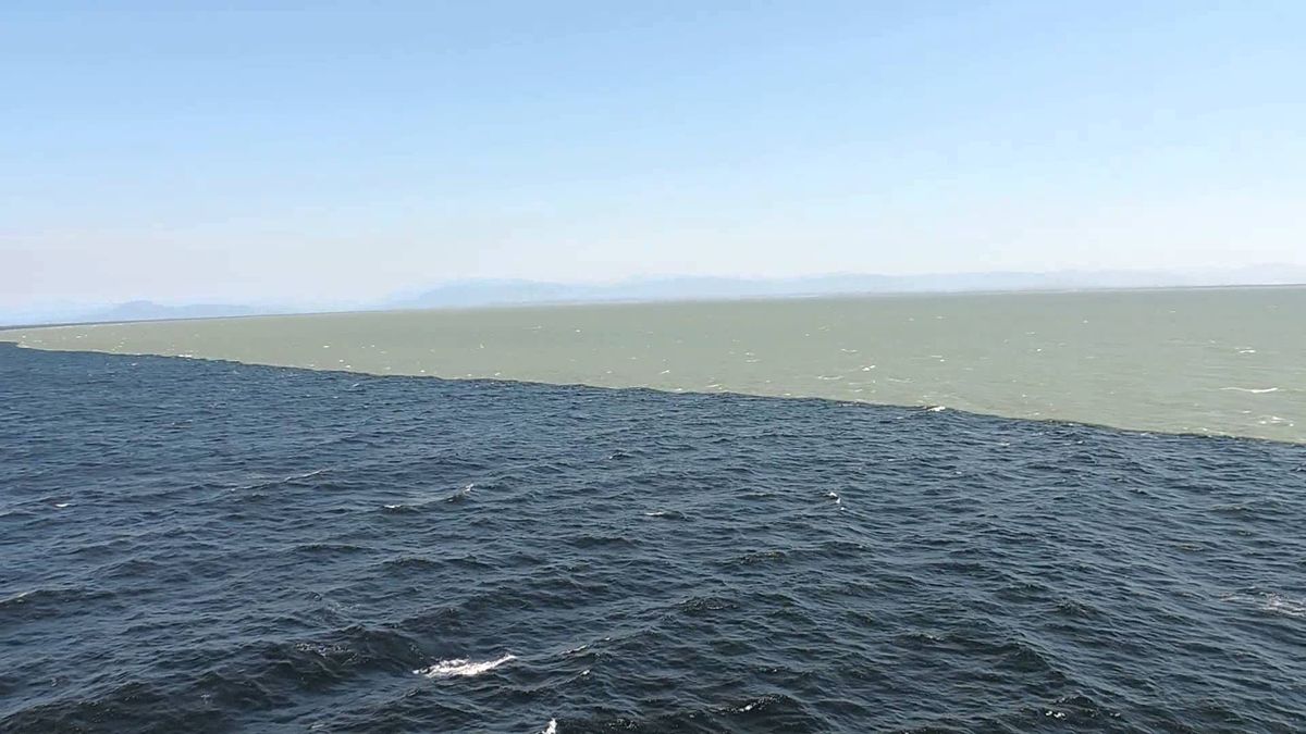 VIDEO Espectacular efecto en la unión del Río Fraser con el Estrecho de