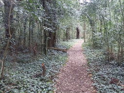 Los bosques cercanos para disfrutar de naturaleza y del aire puro.