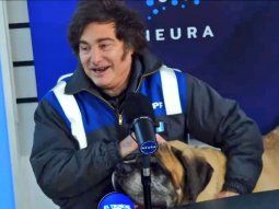 Milei llamó imbécil y primate a Manguel y celebró el ataque a Mengolini