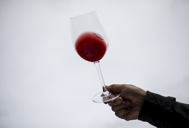 ¿Cómo elegir la copa ideal para cada tipo de vino?