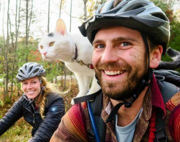 Vladimir es un gato viajero gracias a sus dueños