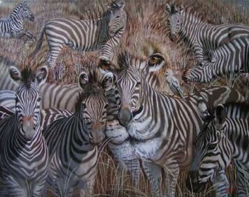 ¿Qué animal está escondido entre las cebras?