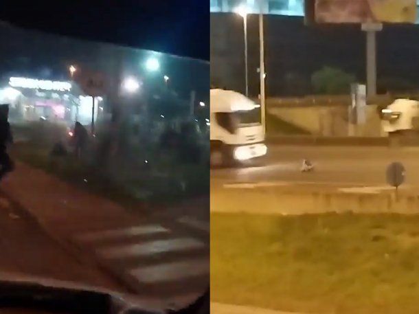 Dramático video: chocó, atropelló e intentó suicidarse en Panamericana