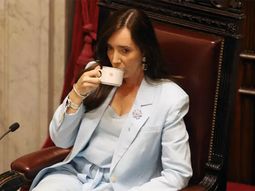 interna en el senado: el conflicto que tiene a victoria villarruel como protagonista interna en el senado: el conflicto que tiene a victoria villarruel como protagonista