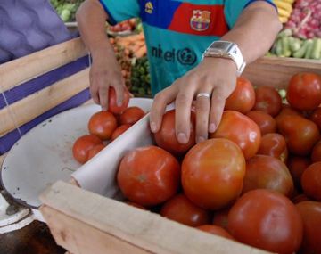 El tomate y su posible importación debido a un faltante fue el debate de la semana.