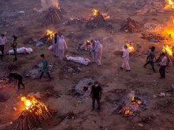 expertos de la india advierten que rociarse con estiercol de vaca no previene el coronavirus