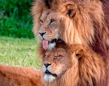 Foto de&nbsp;Russ Bridges