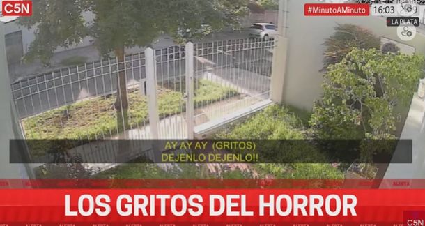 Una mujer fue sorprendida por delincuentes en la puerta de su casa: Mis gritos me salvaron