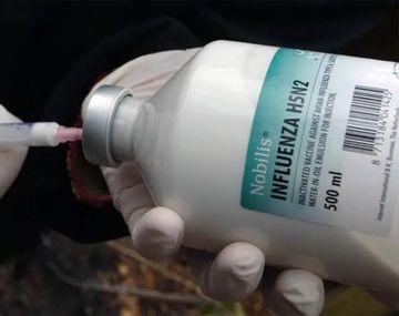 México negó haber tenido la primera víctima fatal de gripe aviar