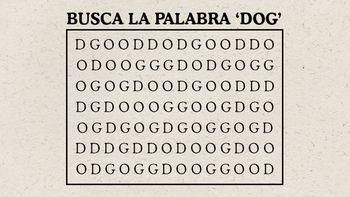 El acertijo que se volvió viral El acertijo que se volvió viral