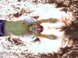 michael phelps se retiro con gloria eterna: sumo su medalla dorada numero 23 michael phelps se retiro con gloria eterna: sumo su medalla dorada numero 23