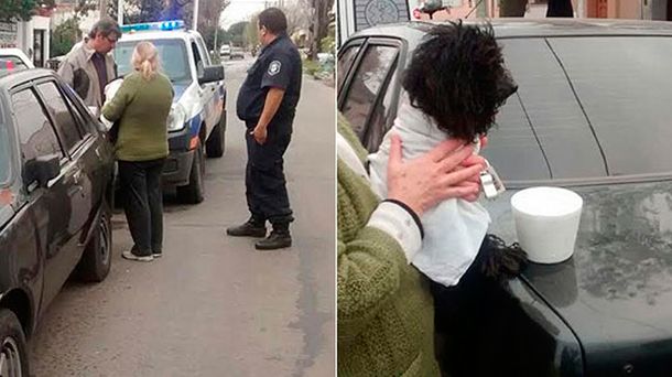 Liberaron a un perro que estuvo cinco días encerrado en un auto