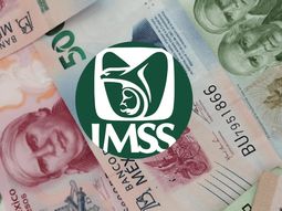 Fallo clave de la SCJN a favor del IMSS. Fallo clave de la SCJN a favor del IMSS.