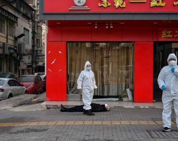 La OMS aseguró que cree haber encontrado el origen del coronavirus