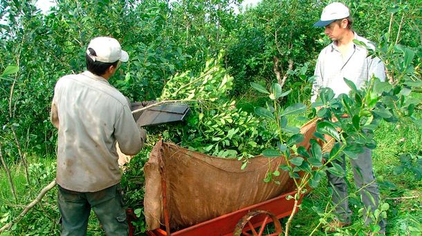 Productores realizarán una protesta