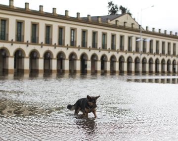 La Legislatura bonaerense aprobó obras en las zonas afectadas por inundación