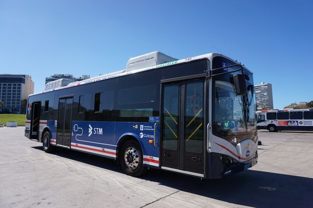 El parque de buses eléctricos aumentó al 35%