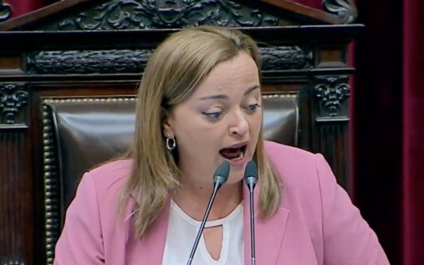 Cecilia Moreau cruzó a Fernando Iglesias tras ser insultada: Sos un macho de vitrina
