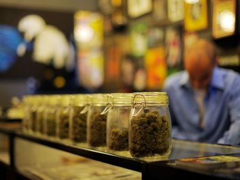 Nueva York oficializó el uso medicinal de la marihuana