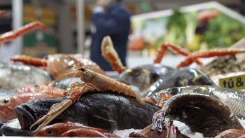 congreso de gastronomia de san sebastian congreso de gastronomia de san sebastian