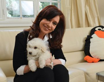 Mirá cómo creció Simón: Cristina volvió a mostrar el perro que le regaló Venezuela