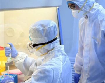 Cient&iacute;ficos describieron seis tipos de coronavirus y sus s&iacute;ntomas