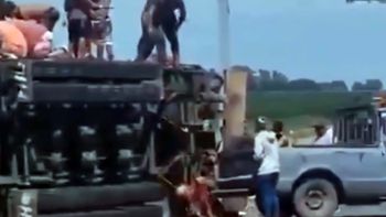 Tragedia en Ruta 8: volcó un camión con ganado, murió el conductor y hubo faena en la banquina Tragedia en Ruta 8: volcó un camión con ganado, murió el conductor y hubo faena en la banquina