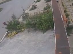 ato un perro a su vehiculo y lo arrastro por la calle ato un perro a su vehiculo y lo arrastro por la calle