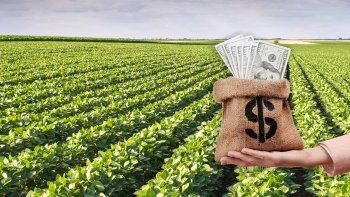 es oficial la baja de las retenciones al campo: todos los detalles es oficial la baja de las retenciones al campo: todos los detalles