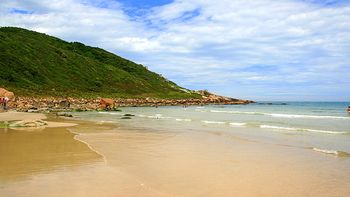 un grupo de egresados de cordoba esta varado en brasil un grupo de egresados de cordoba esta varado en brasil