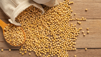 La soja alcanzó su valor máximo en un mes y mejoran las expectativas del agro uruguayo. La soja alcanzó su valor máximo en un mes y mejoran las expectativas del agro uruguayo.