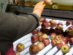 brasil reabrio el comercio de frutas con el pais y se alivia el conflicto brasil reabrio el comercio de frutas con el pais y se alivia el conflicto
