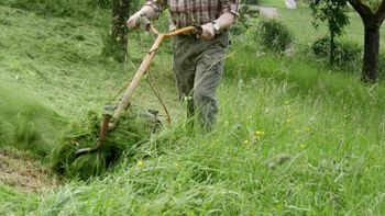 El paso a paso sencillo para eliminar las manchas de pasto en la ropa El paso a paso sencillo para eliminar las manchas de pasto en la ropa