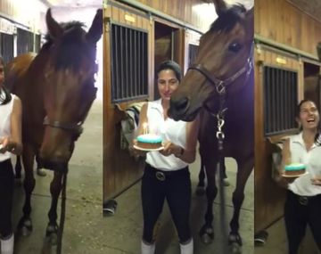 La reacción de un caballo al soplar las velitas