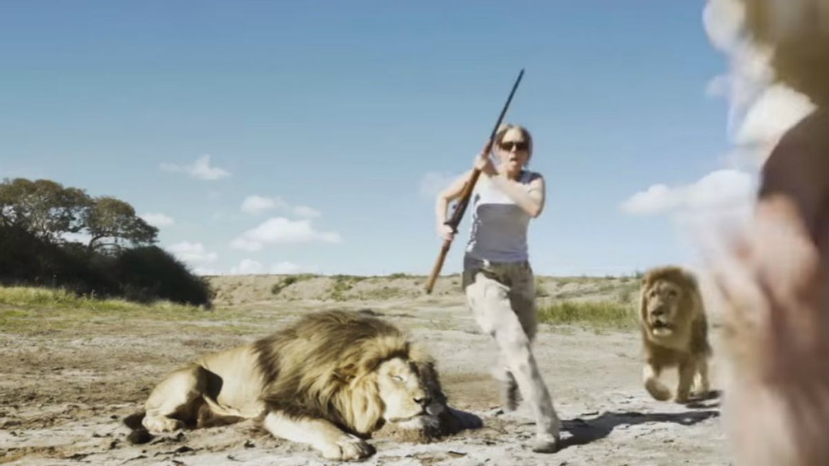 Divulgan el video de la venganza de un león contra unos cazadores