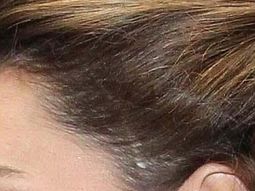 Kate extensiones 2 Kate extensiones 2