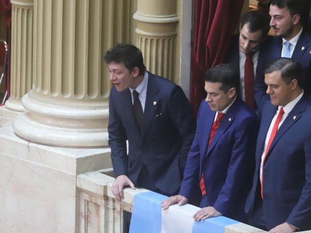 Quién le pegó a Facundo Manes en el Congreso