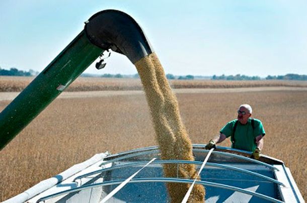 Exportadores de soja prometieron ingresar US$1.400 millones durante marzo