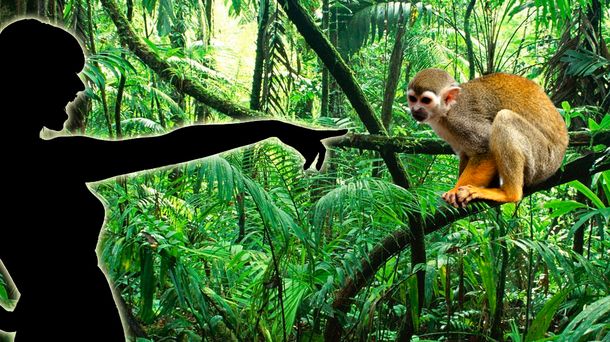 La confesión de una actriz: Me encantaría tener un animal exótico en casa