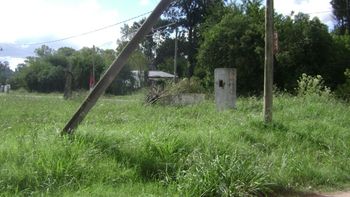 los municipios decidiran que baldios seran expropiados los municipios decidiran que baldios seran expropiados