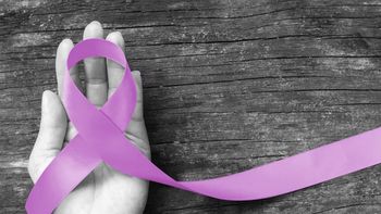 por que hoy es el dia internacional de la eliminacion de la violencia contra la mujer por que hoy es el dia internacional de la eliminacion de la violencia contra la mujer