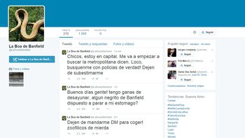 insolito: durante su ausencia la boa margarita se dedico a tuitear insolito: durante su ausencia la boa margarita se dedico a tuitear