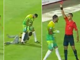 un arquero fue expulsado por sacar a un hincha del campo de juego violentamente un arquero fue expulsado por sacar a un hincha del campo de juego violentamente