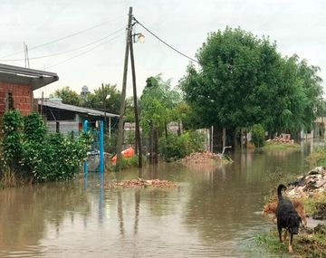 Al menos dos personas murieron durante el temporal que azotó La Plata el viernes y sábado