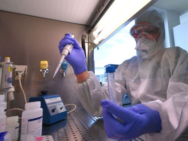 El Covid Frankenstein se detectó cerca de Argentina: dónde circula y de qué se trata