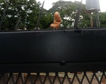 Un ladrón perdió un dedo en una reja