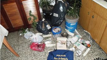 procesaron a un jubilado de 71 anos que tenia 5 plantas de marihuana procesaron a un jubilado de 71 anos que tenia 5 plantas de marihuana