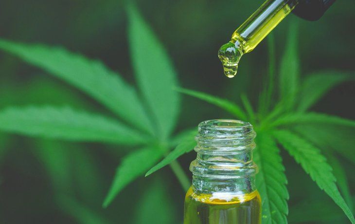 Se promulgó la Ley de Cannabis Medicinal: los detalles de la norma