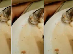 Una mujer pidió cebiche en un restaurante y encontró un gusano Una mujer pidió cebiche en un restaurante y encontró un gusano